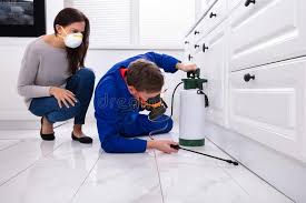 Best Residential Pest Control  in Kingston, PA